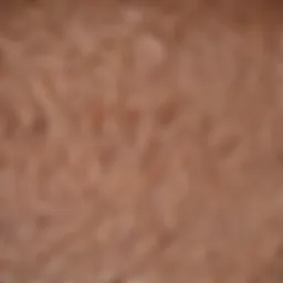 Illustration of hair follicles during postpartum shedding