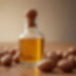 Close-up of argan oil in a small glass bottle with argan nuts