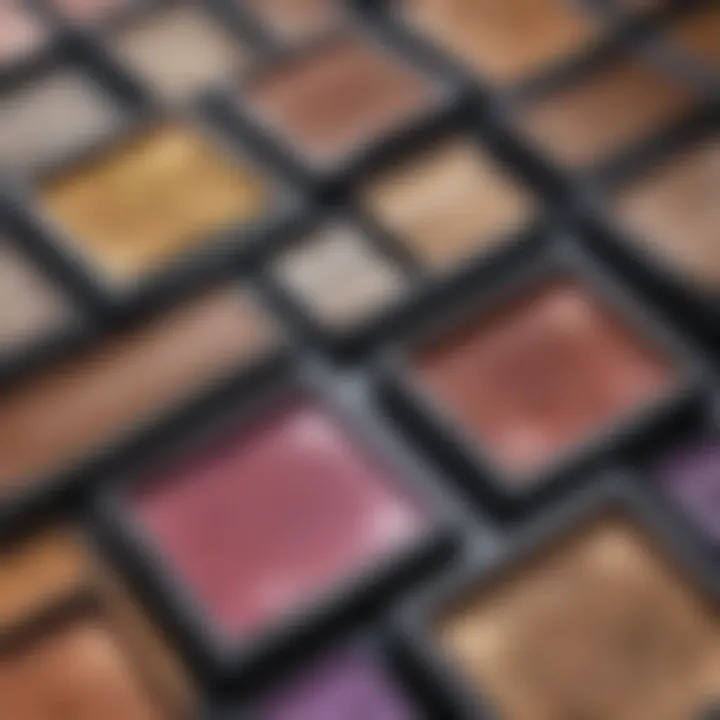 Close-up of Urban Decay Evidence Eyeshadow Pigment